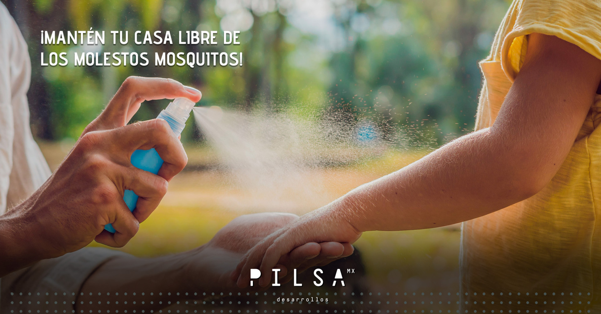 Cómo mantener tu hogar libre de mosquitos: consejos prácticos