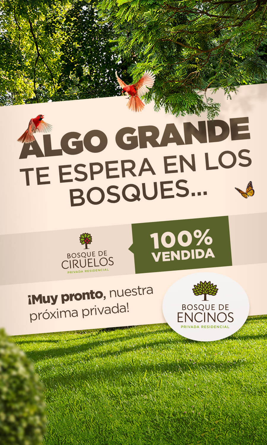 Paseo de los Bosques