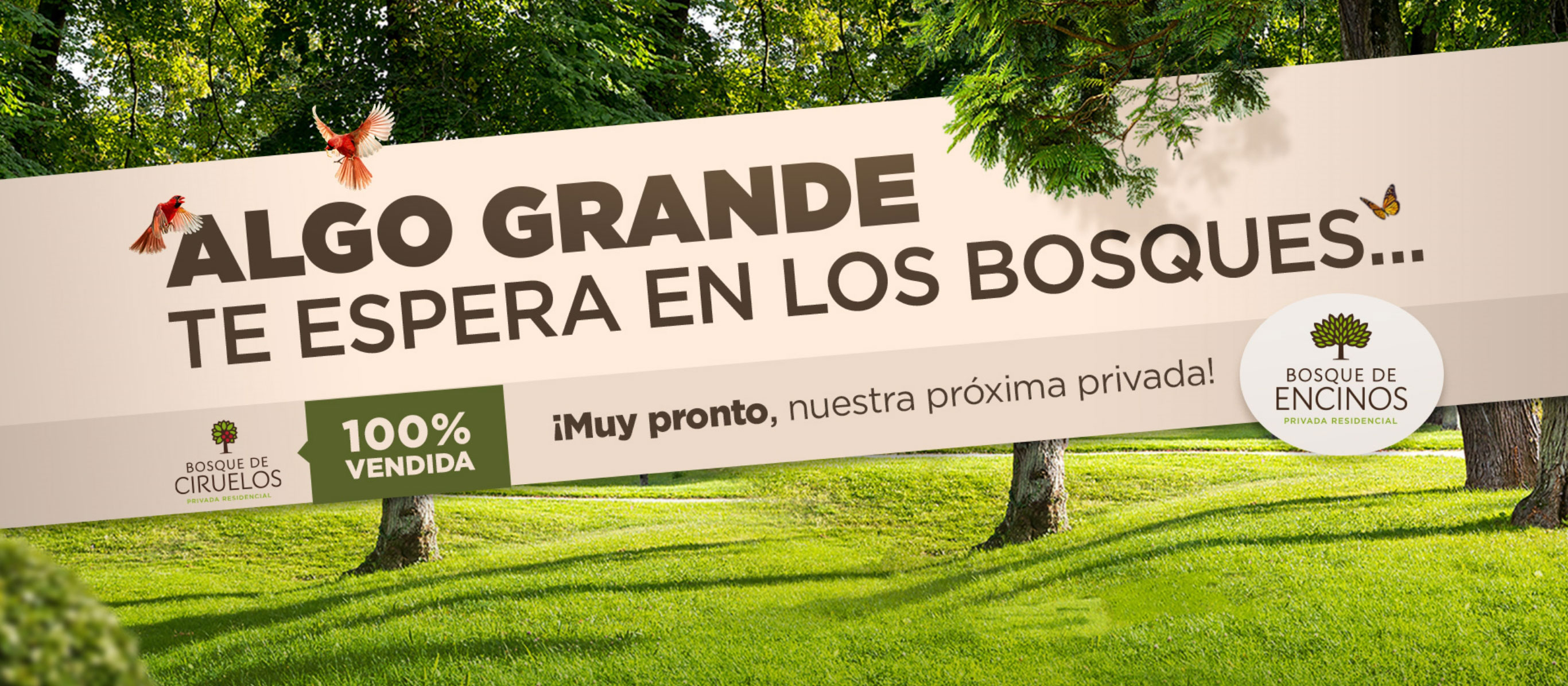 Paseo de los Bosques